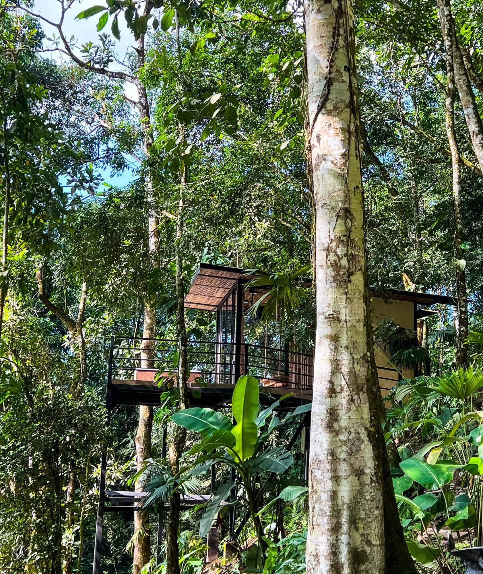 Rincon De La Sierra Minca Hotel Exterior foto